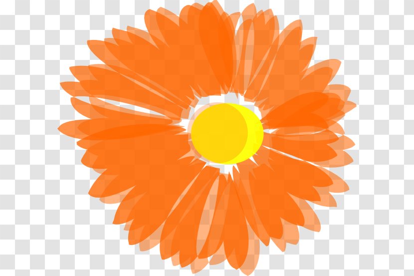 Flower Orange Clip Art - Petal - Hawaii Transparent PNG