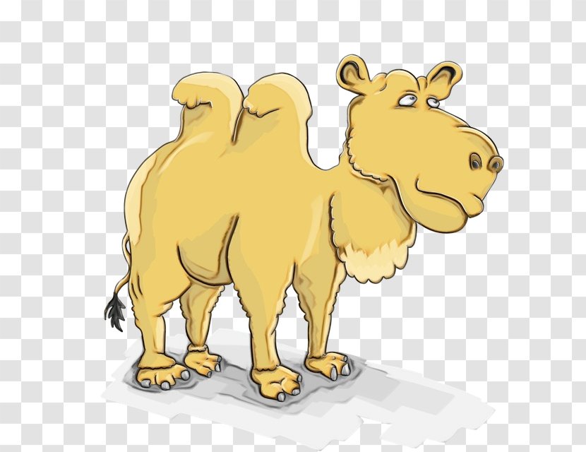 Dromedary Mammal Dog Cattle - Animal - Canidae Transparent PNG