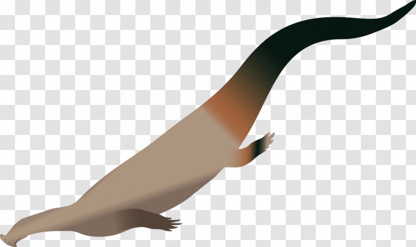 Atopodentatus Lythronax Animal Bird Goose - Anatidae Transparent PNG