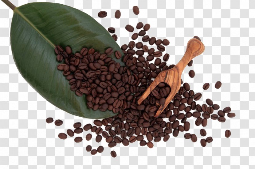 Coffee Bean Caffxe8 Americano Espresso Cafe - Beans Transparent PNG