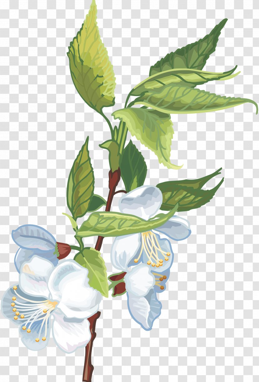 Flower Plant Cerasus Clip Art - Gurdwara Transparent PNG