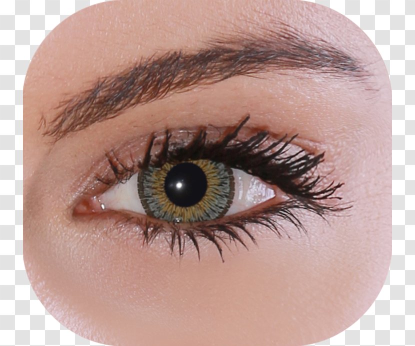 Contact Lenses Eyelash Extensions Brown - Silver - Natural Greenery Transparent PNG