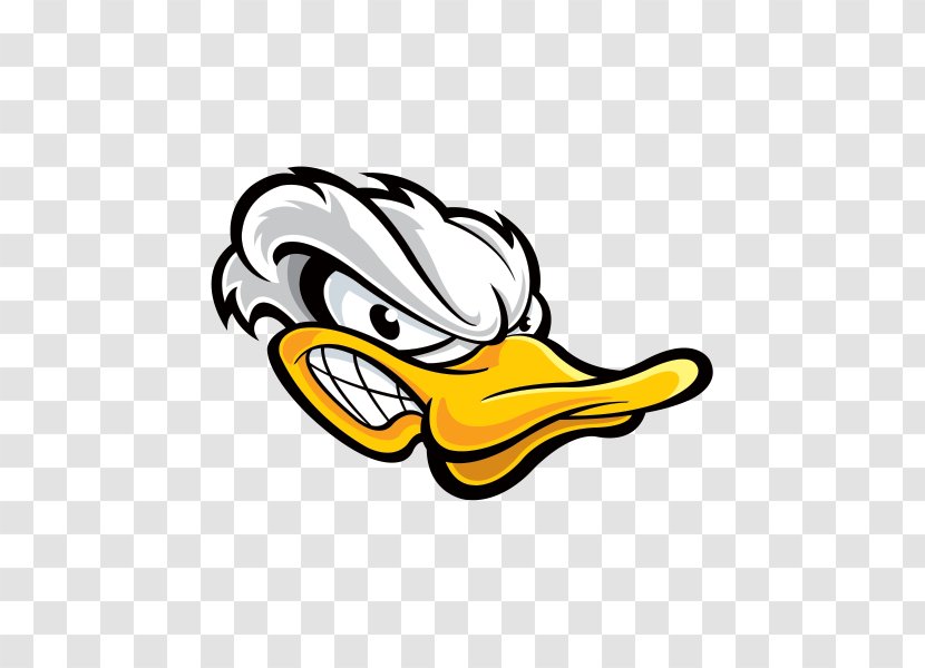 Duck Mallard American Pekin Sticker - Bird - Angry Transparent PNG