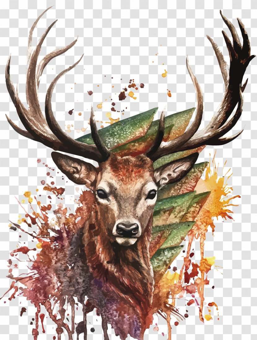 Deer Watercolor Painting Drawing - Antler - Vector Transparent PNG