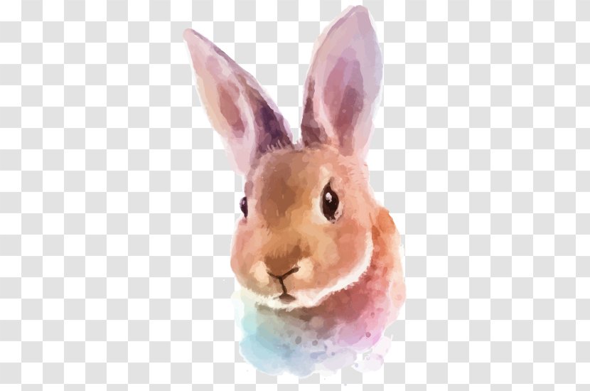 Hare Watercolor Painting Rabbit Illustration - Snout - Cartoon Transparent PNG