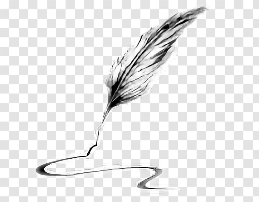 Quill Pen Feather Writing Implement Transparent PNG