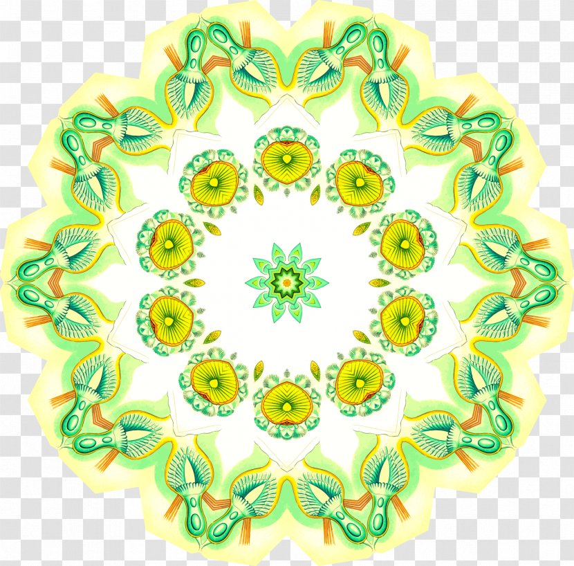 Kaleidoscope Clip Art - Flower - Ornaments And Mandala Shapes Transparent PNG