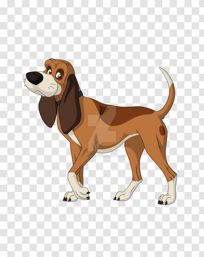 English Foxhound Harrier Treeing Walker Coonhound Beagle Black And Tan - Poster Shading Transparent PNG