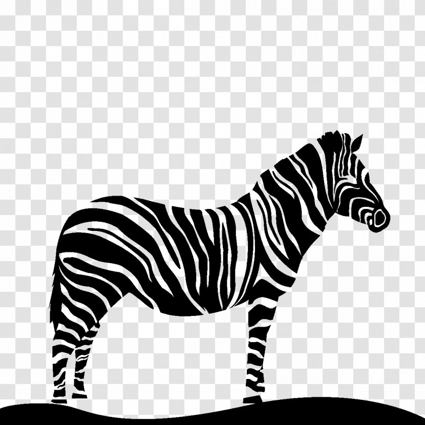 Tiger Quagga Black & White - Animal Figure - M Cat Zebra Transparent PNG