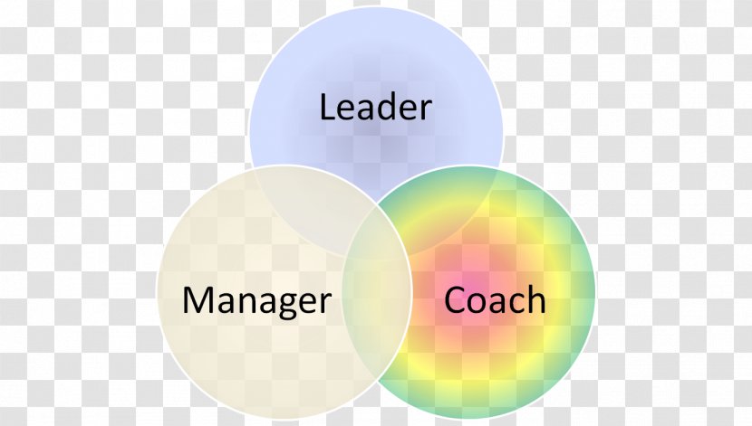 Management Leadership Human Resources Coaching Organization - Manager - Leader Transparent PNG