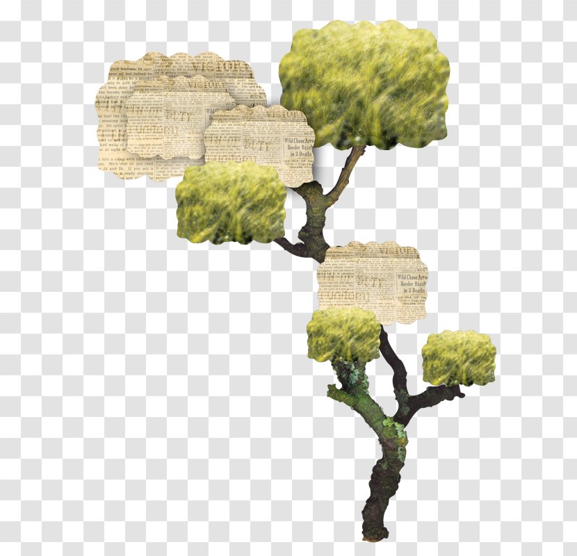 Tree Drawing - Fresco Transparent PNG