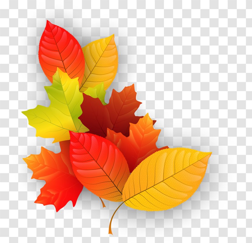 Maple Leaf Autumn Clip Art - Element Transparent PNG