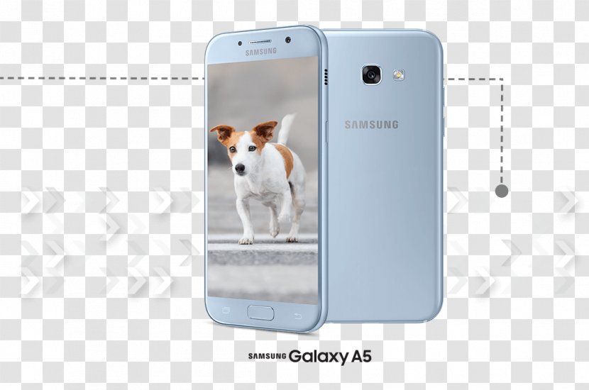 Smartphone Dog - Gadget - Samsung A5 Transparent PNG