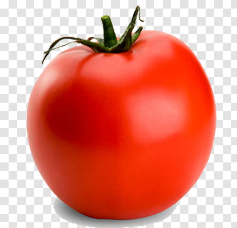 Tomato Vegetable Fruits Et Légumes Lycopersicon - Tomatine - Verdura Transparent PNG