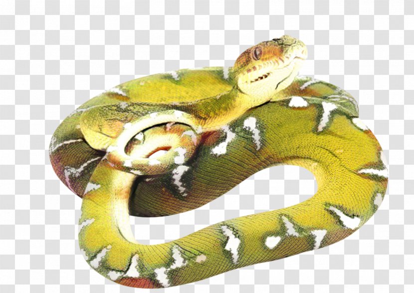 Snake Cartoon - Animal - Rattlesnake Burmese Python Transparent PNG