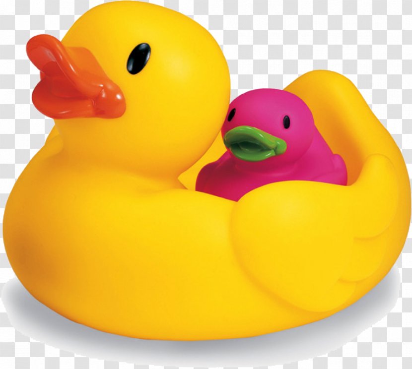 Duck Toy Game Child Infant - Ducks Geese And Swans Transparent PNG