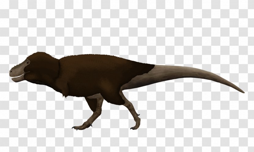 Saurian Tyrannosaurus Daspletosaurus Triceratops Dinosaur Transparent PNG