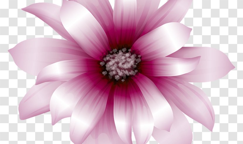 Pink Flowers Clip Art - Dahlia - Coral Gerbera Transparent PNG