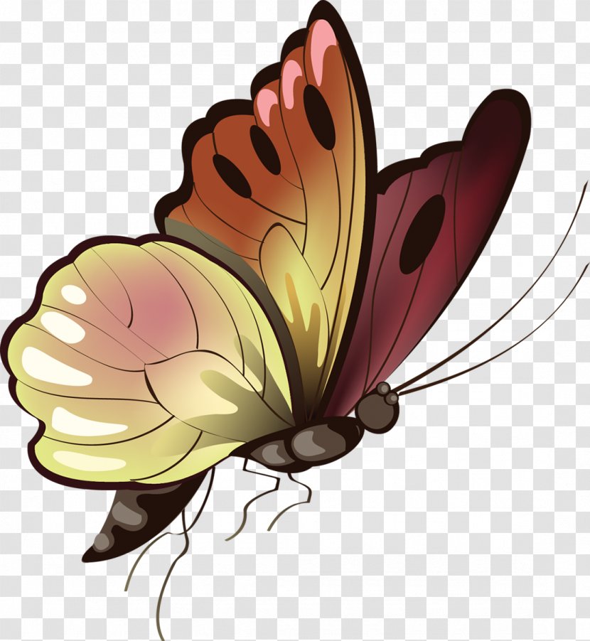 Butterfly Animal Clip Art - Brush Footed Transparent PNG