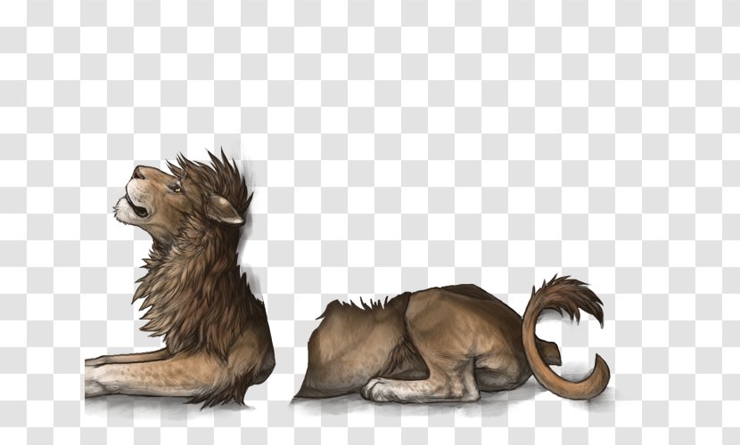 Lion Big Cat Roar Pet Transparent PNG