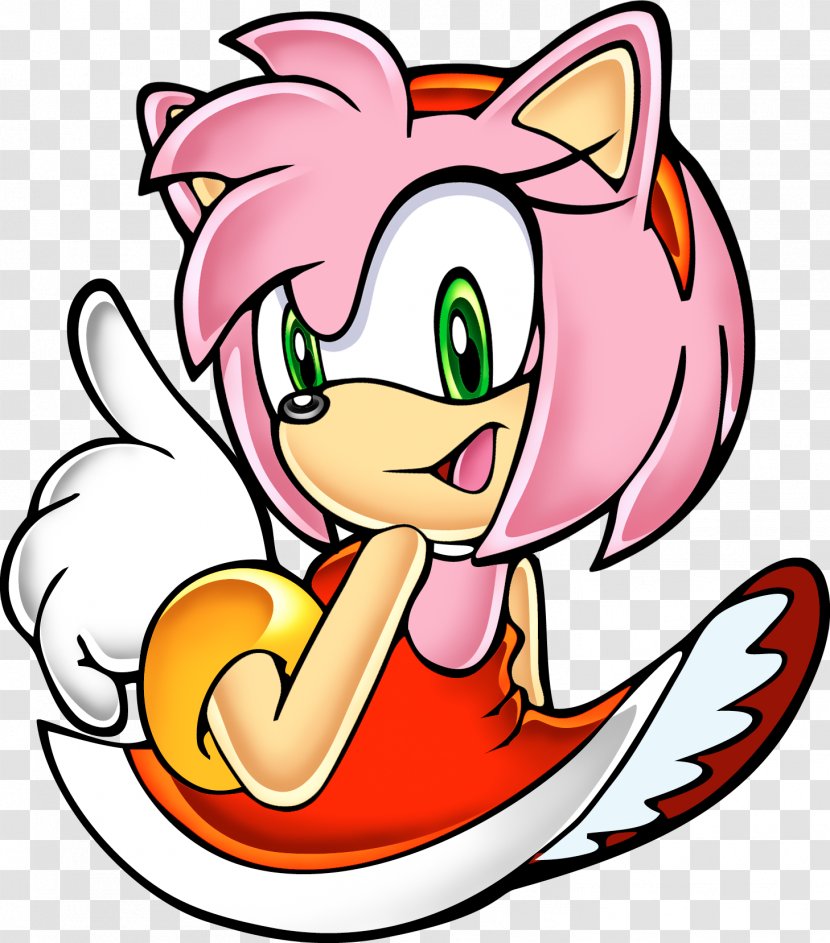 Sonic Adventure 2 The Hedgehog Amy Rose Ariciul - Flower Transparent PNG