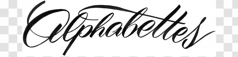 Logo Calligraphy Line Art Cartoon Font - Design Transparent PNG