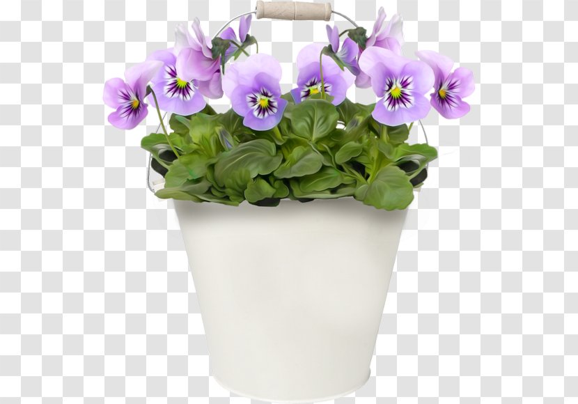 Pansy Flower Clip Art - Viola Transparent PNG