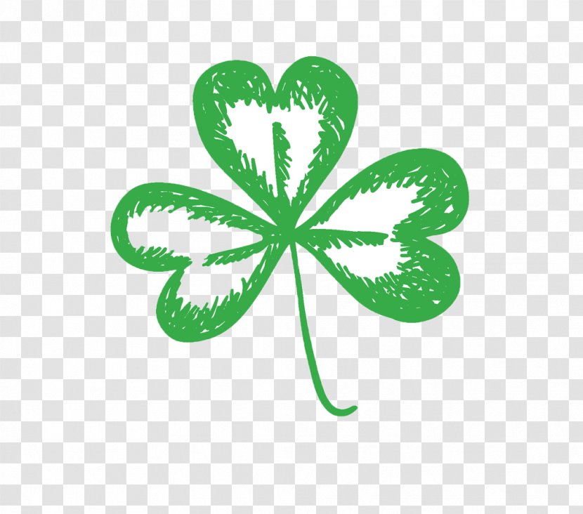 Shamrock Saint Patrick's Day Drawing - Clover - Noble Green Transparent PNG