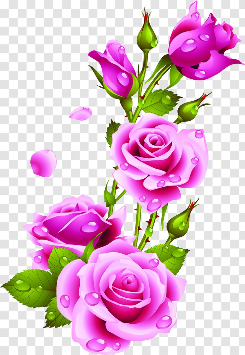 Clip Art Desktop Wallpaper Rose Image Flower - Magenta Transparent PNG