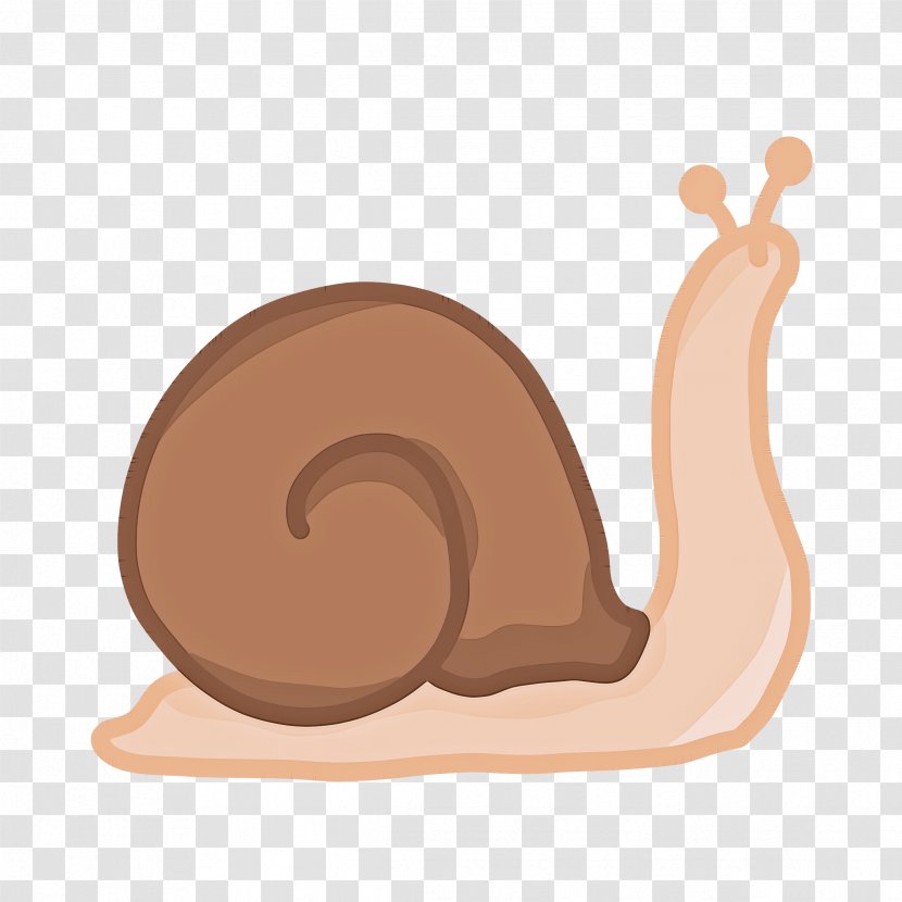 Snail Snails And Slugs Slug Sea Clip Art - Squirrel Transparent PNG
