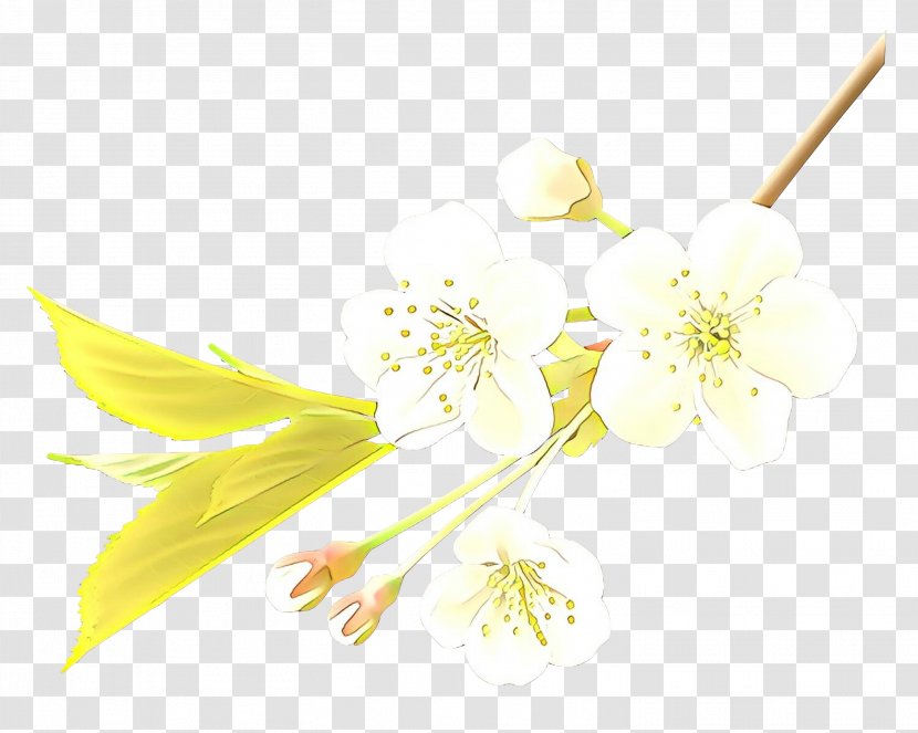 Flowers Background - Yellow - Pedicel Branch Transparent PNG