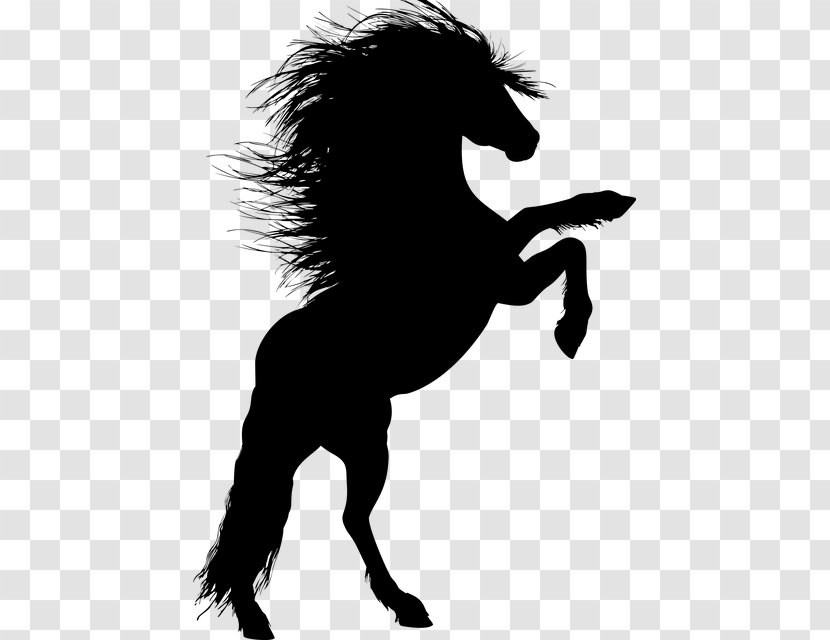 Stallion Horse Rearing Silhouette Clip Art - Monochrome Transparent PNG