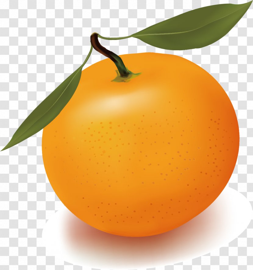 Orange Juice Free Content Clip Art - Natural Foods - Vector Transparent PNG