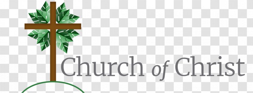 Logo Matthew 7:21 Christianity Blog Christian Church - Plant Stem - Text Transparent PNG