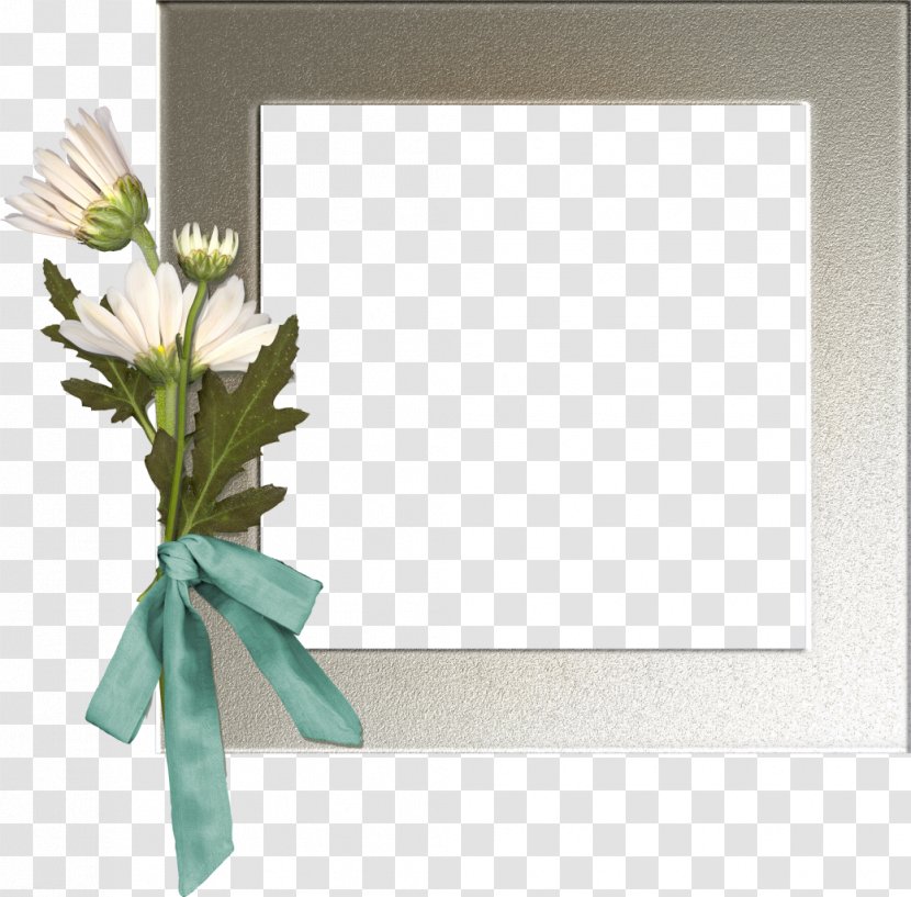 Background Flower Frame - Wildflower - Twig Transparent PNG