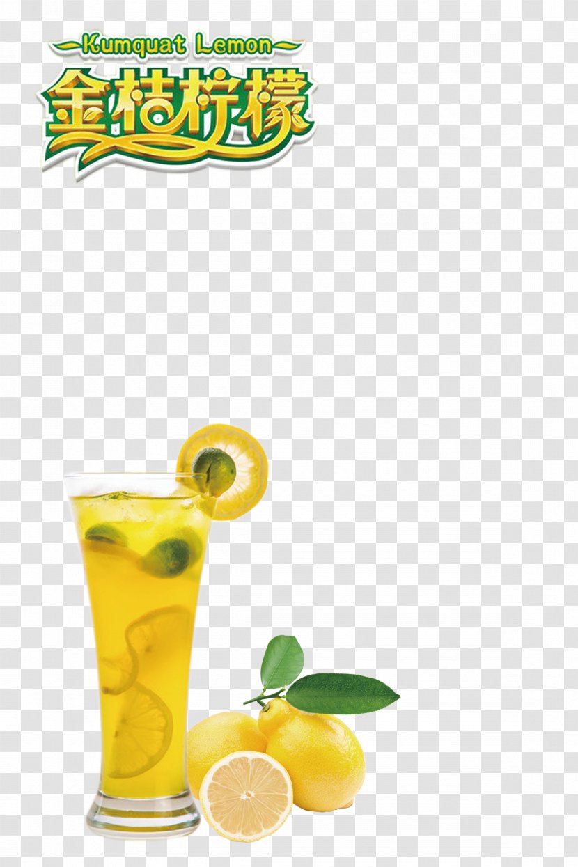 Juice Tea Lemon Drink - Kumquat Transparent PNG
