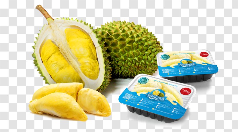 Bus Thai Cuisine Durian Eggplant Yellow-fruit Nightshade - Permalink - Fruit Transparent PNG