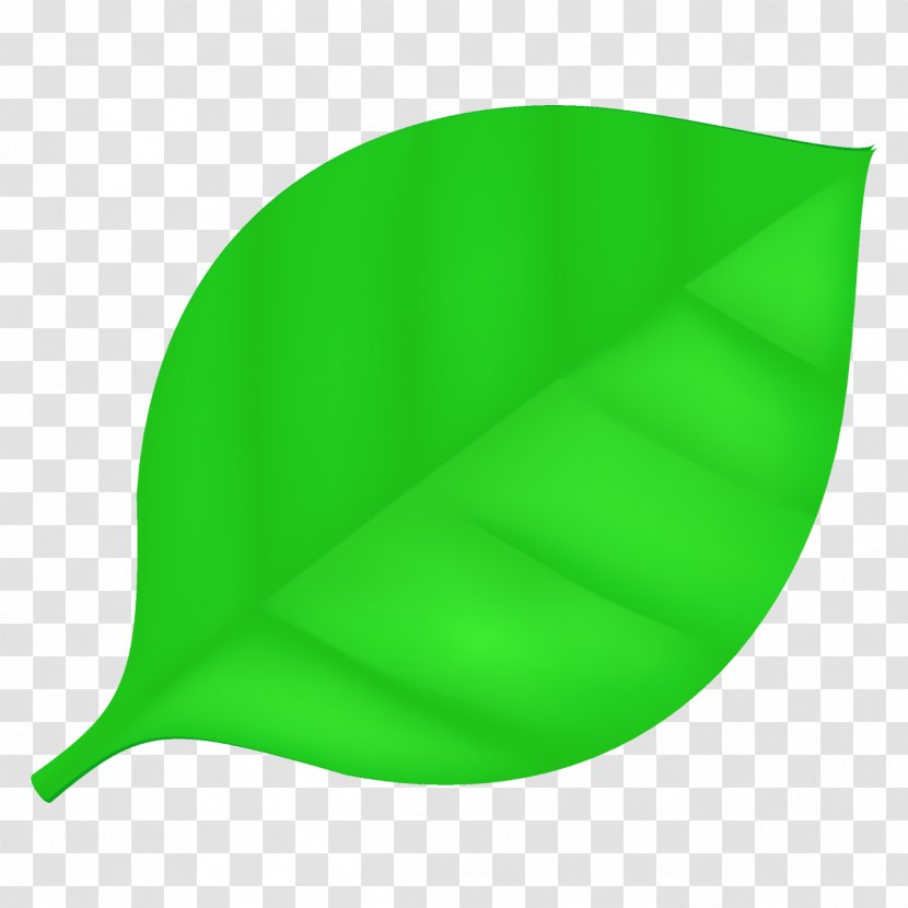Green Leaf Flag Plant Transparent PNG