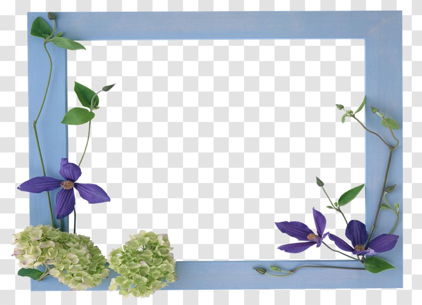 Picture Frames PhotoScape Floral Design - Cut Flowers - Business Card Template Transparent PNG