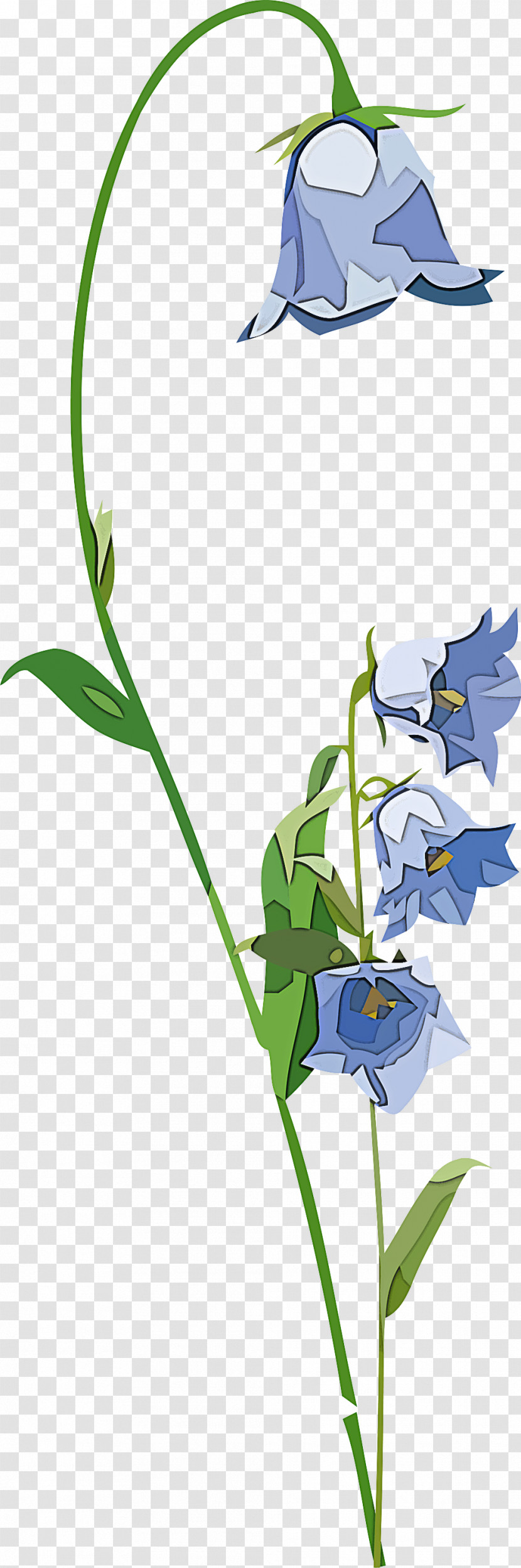 Floral Design Transparent PNG