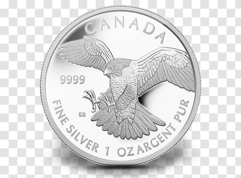 Silver Coin Peregrine Falcon Transparent PNG