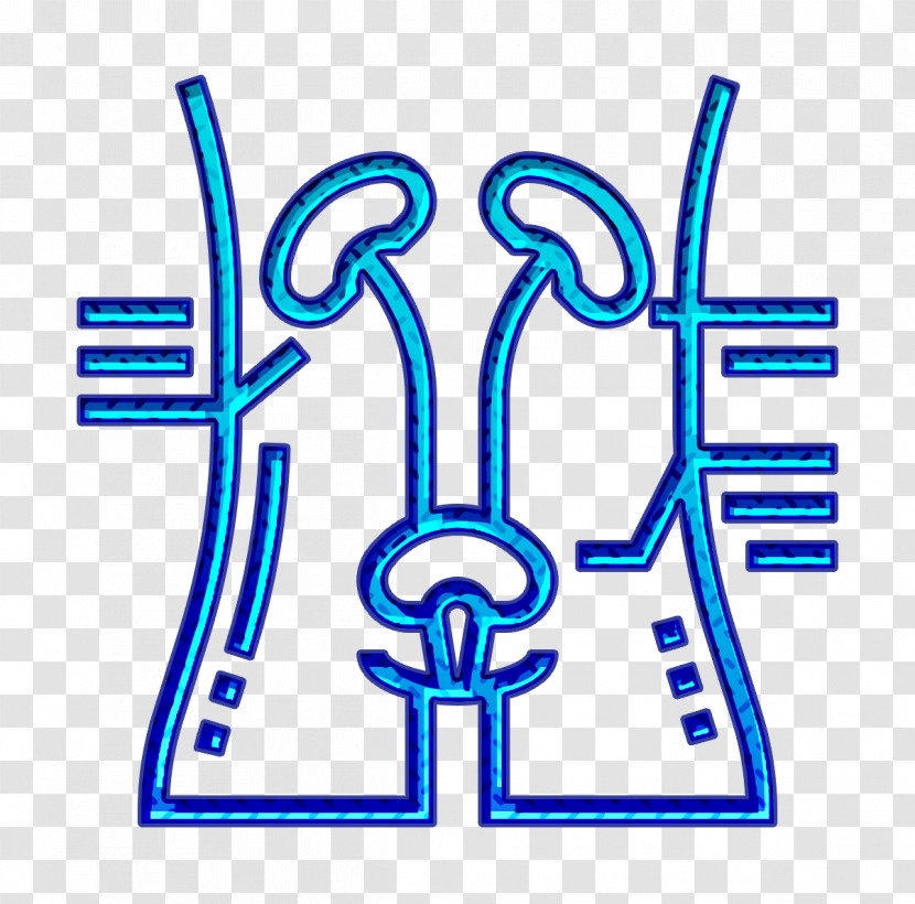 Health Checkups Icon Kidney Icon Blood Icon Transparent PNG