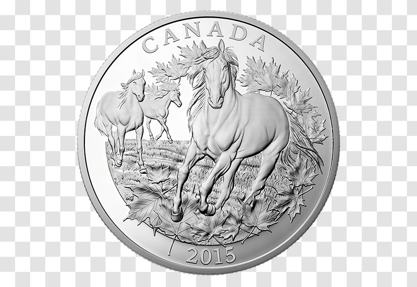 Canadian Horse Coin Canada Silver Symbol Transparent PNG