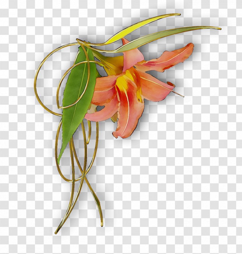 Cut Flowers Plant Stem Plants Orange S.A. - Honeysuckle - Flower Transparent PNG