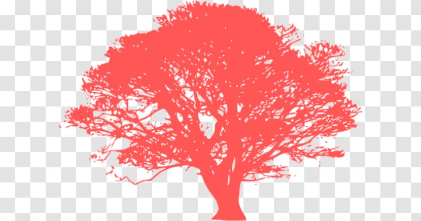 Tree Silhouette Desktop Wallpaper Clip Art - Oak - Coral Cliparts Transparent PNG
