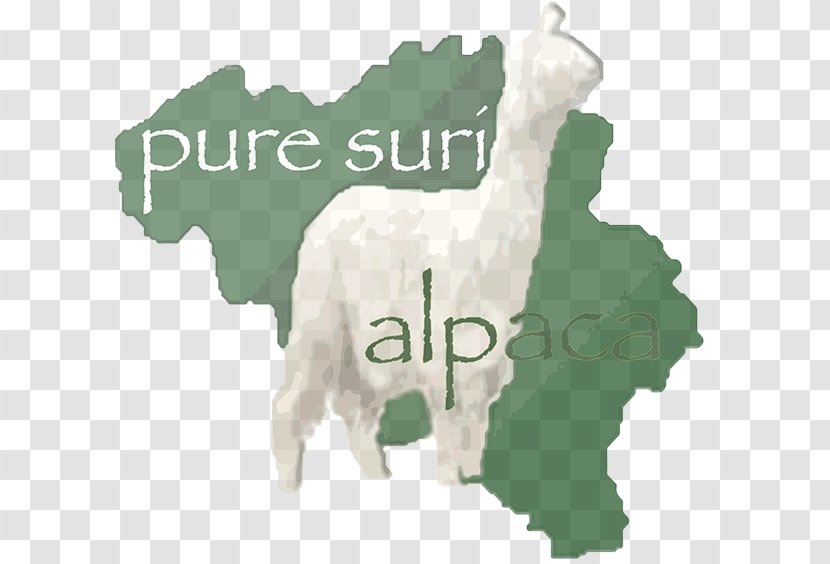 Flag Of Belgium Alpaca Suri National Transparent PNG