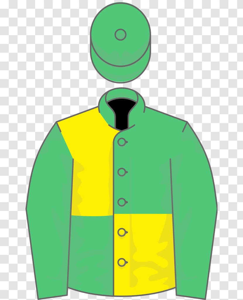 National Hunt Racing Sapphire Stakes Anaglog's Daughter Mares Novice Chase Horse Dawn Run - Area Transparent PNG