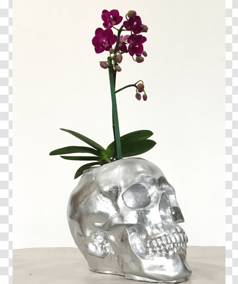 Moth Orchids Vase Cut Flowers Floral Design - Photography Transparent PNG