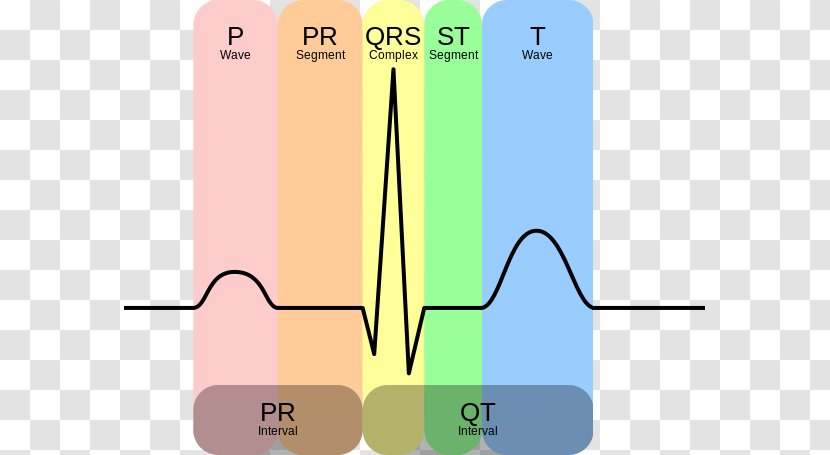 Electrocardiogram Sinusrytme QT Interval QRS Complex Heart - Silhouette - Ecg Test Transparent PNG