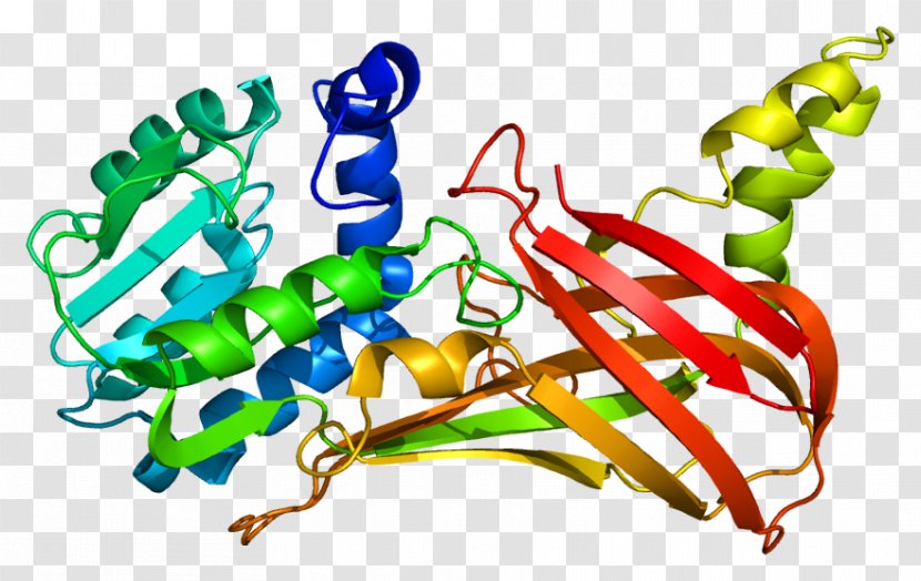 PRMT3 Gene Protein Knockout Mouse Organism - Watercolor - Cartoon Transparent PNG